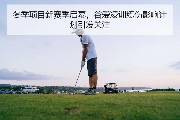 冬季项目新赛季启幕，谷爱凌训练伤影响计划引发关注（yaxin）
